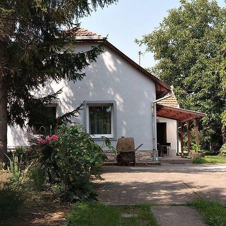 Borostyan 20 Vendeghaz Apartment Sarospatak Luaran gambar