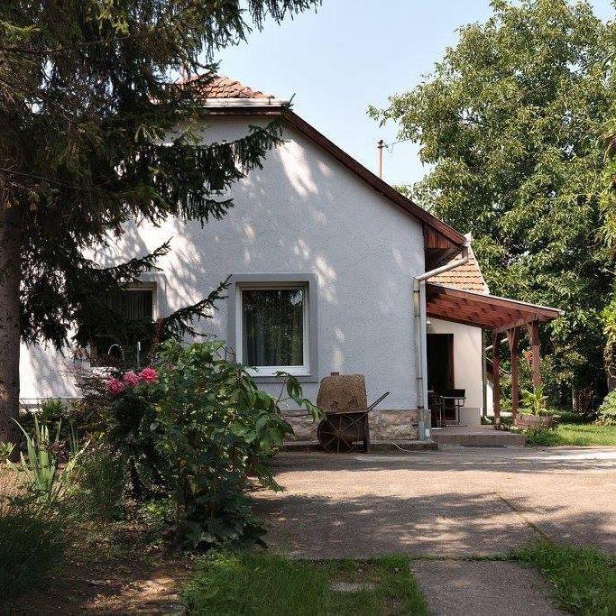 Borostyan 20 Vendeghaz Apartment Sarospatak Luaran gambar